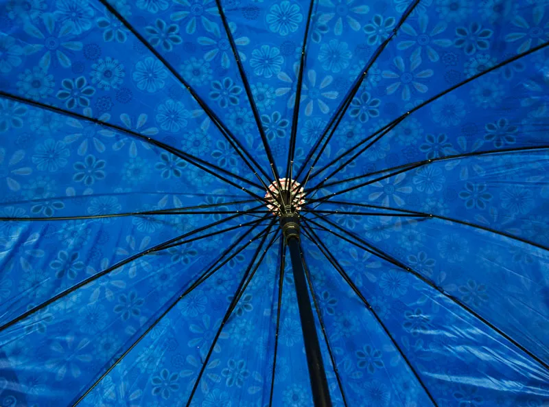 Double Layered Adults Printed Umbrellas Wholesale
