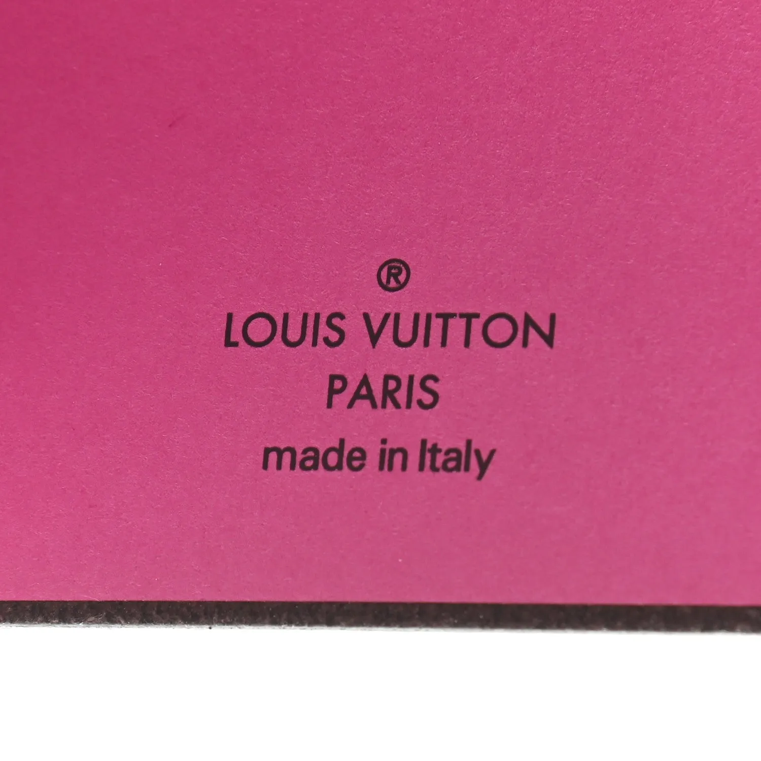 Louis Vuitton Vivienne Monogram Kaye-Clemence Note Notebook
