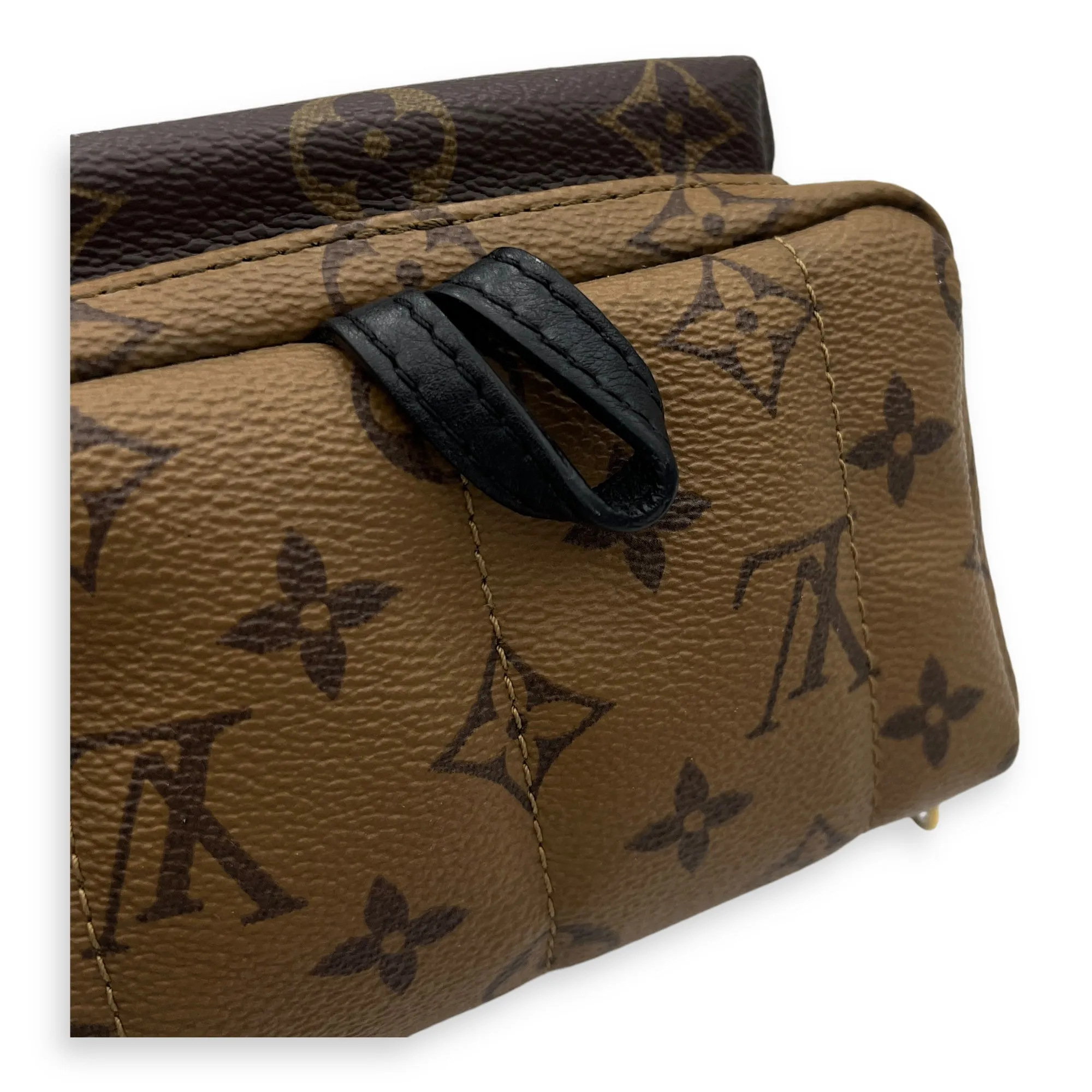 Palm Springs Mini Brown Backpack in Monogram Coated Canvas, Gold hardware