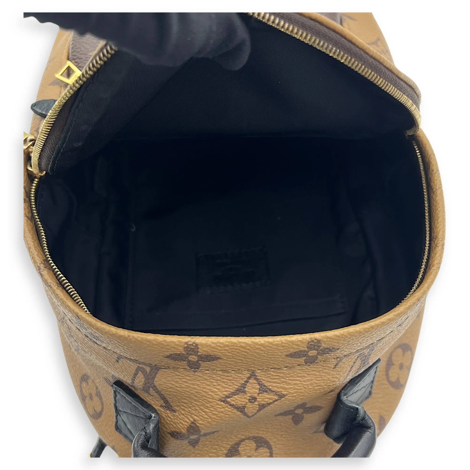 Palm Springs Mini Brown Backpack in Monogram Coated Canvas, Gold hardware